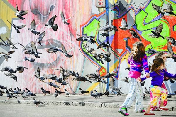 Photograph Mitchell Funk Pigeon Street on One Eyeland